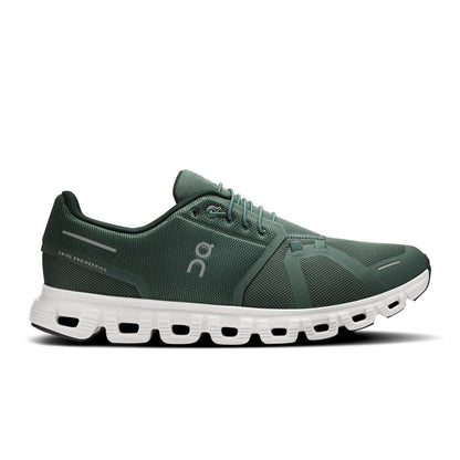 Olive | Evergreen / 8