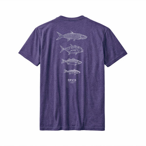 Orvis Saltwater Fish Tee-Men's Clothing-Mountain Dusk-S-Kevin's Fine Outdoor Gear & Apparel