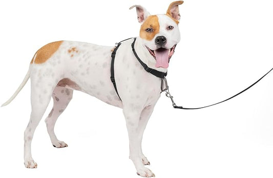 PetSafe 3 in 1 No-Pull Dog Harness For Medium Dogs - Walk, Train or Travel - Helps Pets from Pulling on Walks - Seatbelt Loop Doubles as Quick Access Handle - Reflective- Medium, Black