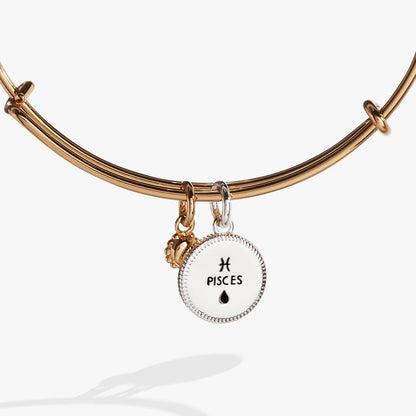 Pisces Zodiac Charm Bangle
