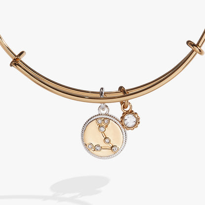 Pisces Zodiac Charm Bangle