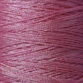 J556 Filly Lilly
