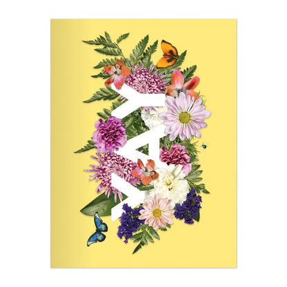 Say It With Flowers Greeting Assortment Notecard Box Greeting Cards Galison