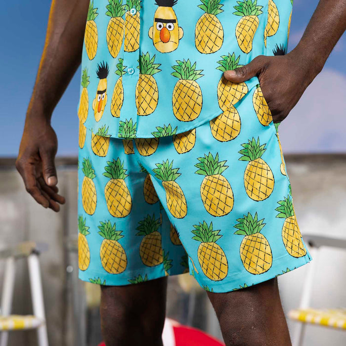 RSVLTS Sesame Street Hybrid Shorts Sesame Street "Bert-apple" – Hybrid Shorts Sesame Street "Bert-apple" – Hybrid Shorts