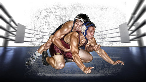 Sports Fabric, Wrestling Fabric Panel, In the Ring One, 3729 - Beautiful Quilt