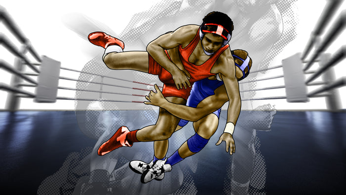 Sports Fabric, Wrestling Fabric Panel, In the Ring Three, 3731 - Beautiful Quilt