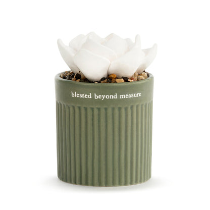 Succulent Oil Diffuser