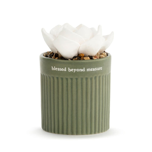 Succulent Oil Diffuser