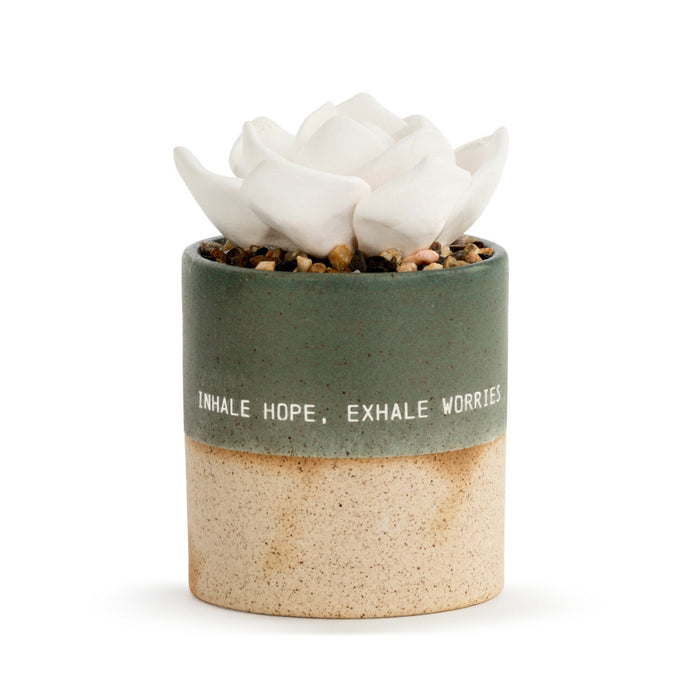 Succulent Oil Diffuser