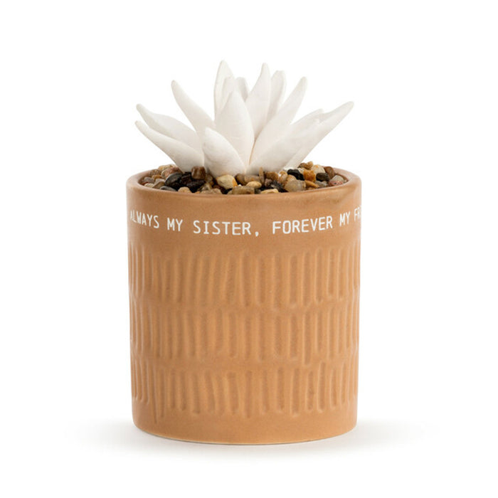 Succulent Oil Diffuser