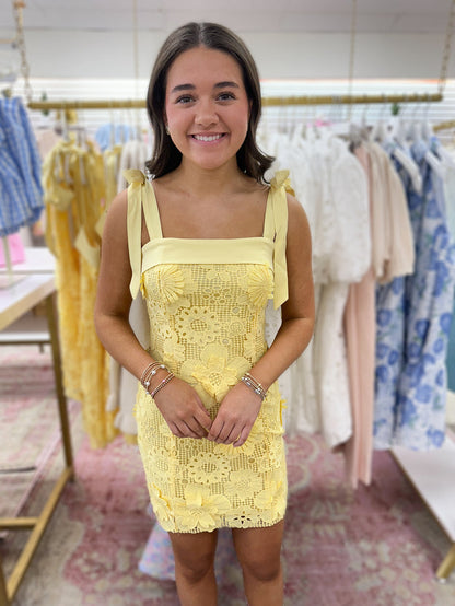 Sunny Lace Dress