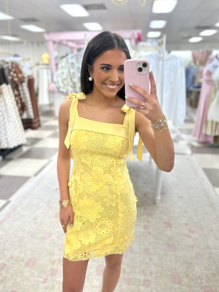 Sunny Lace Dress