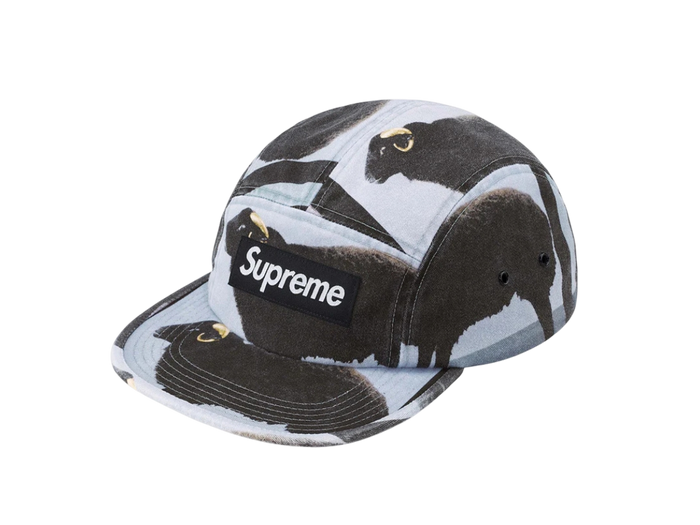 Supreme x Damien Hirst Camp Cap (Black)