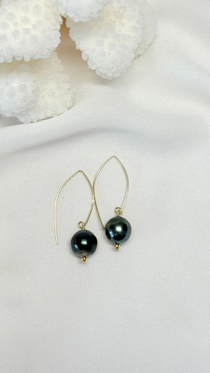 Tahitian fish hook earrings