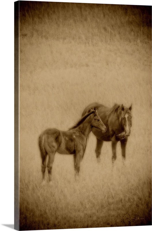That Wild Thing Called Beautiful Canvas Print