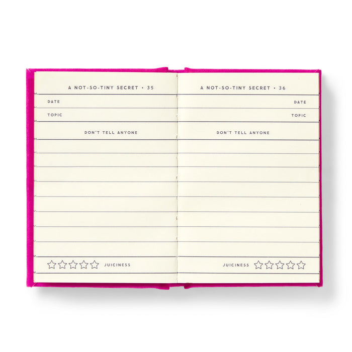 The Brass Monkey Tiny Diary for Not So Tiny Secrets is an open, pink and gold-edged journal with “A NOT-SO-TINY SECRET” pages, date and topic fields, a “DON’T TELL ANYONE” section, and a five-star “JUICINESS” rating at the bottom.