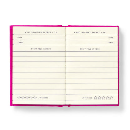 The Brass Monkey Tiny Diary for Not So Tiny Secrets is an open, pink and gold-edged journal with “A NOT-SO-TINY SECRET” pages, date and topic fields, a “DON’T TELL ANYONE” section, and a five-star “JUICINESS” rating at the bottom.