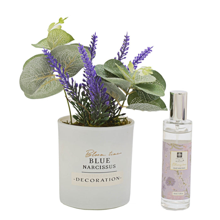 Urban Decor Scented Glass with Spray - Assorted
