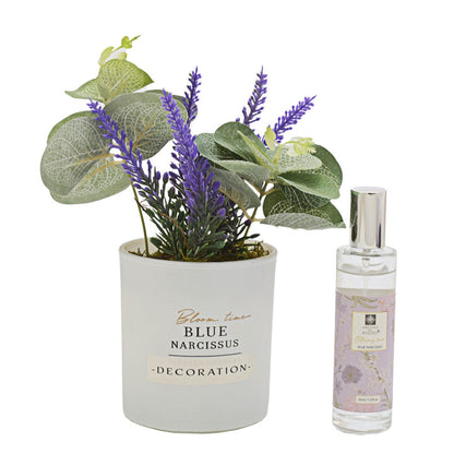 Urban Decor Scented Glass with Spray - Assorted