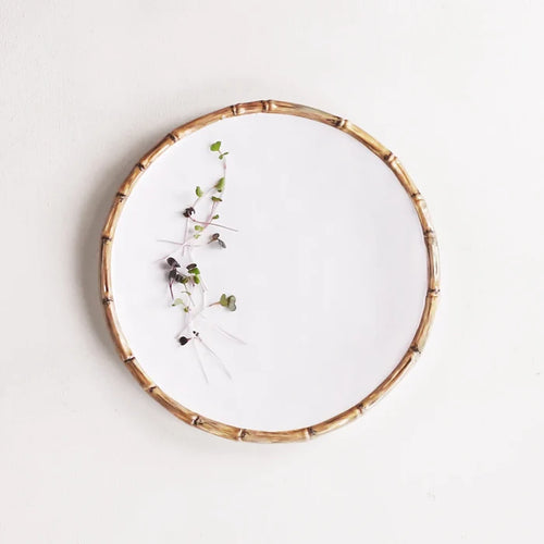 VIDA Bamboo 11" Dinner Plate Set of 4 (White and Natural).