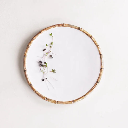 VIDA Bamboo 11" Dinner Plate Set of 4 (White and Natural).