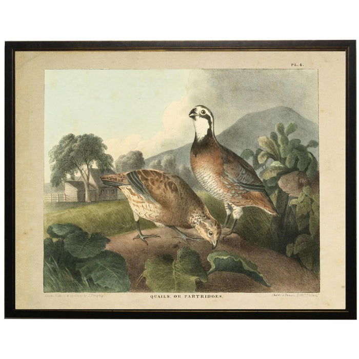 Vintage quail and partridge lithograph print in a dark wooden frame, featuring a rustic landscape in muted earth tones.