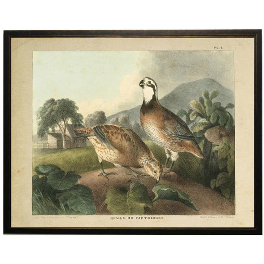 Vintage quail and partridge lithograph print in a dark wooden frame, featuring a rustic landscape in muted earth tones.