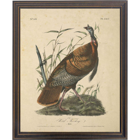 Vintage wild turkey bookplate print in a rustic black frame with a distressed, aged paper background.
