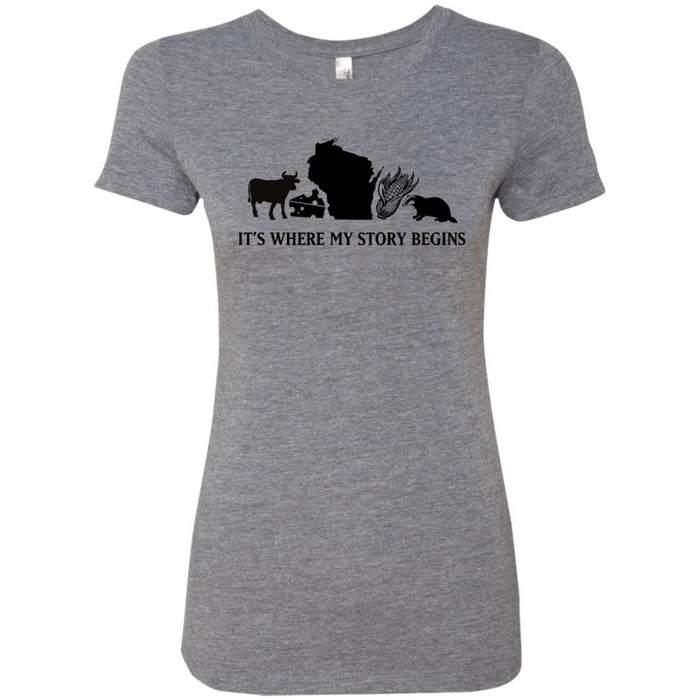 NL6710 Next Level Ladies' Triblend T-Shirt / Premium Heather / S